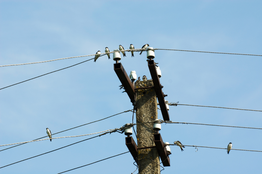 pt global cometal menyediakan material grounding berkualitas